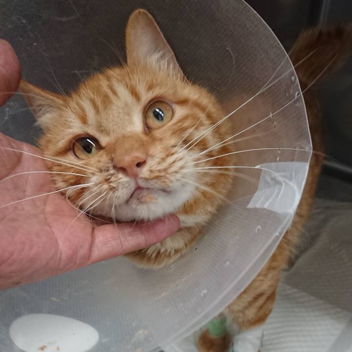 8113717c 2844 4180 9e7d 873b11493735 1653614050341