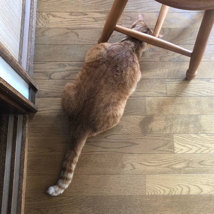 8113b77e fd06 4313 8a82 4f2743685c14 1564350884900