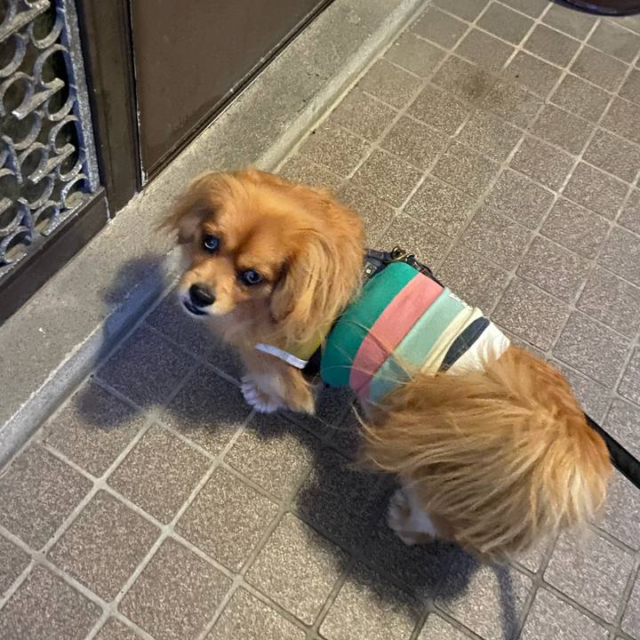 8113c91a 4c2b 45ec bc6b 394b635340c7 1579212625925