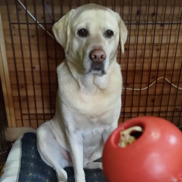 81145d69 7bf6 49b5 9d45 dd30a495b216 1669335444322