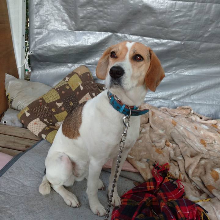 811461a4 22b3 4534 9c54 d2488b19862b 1610895325494