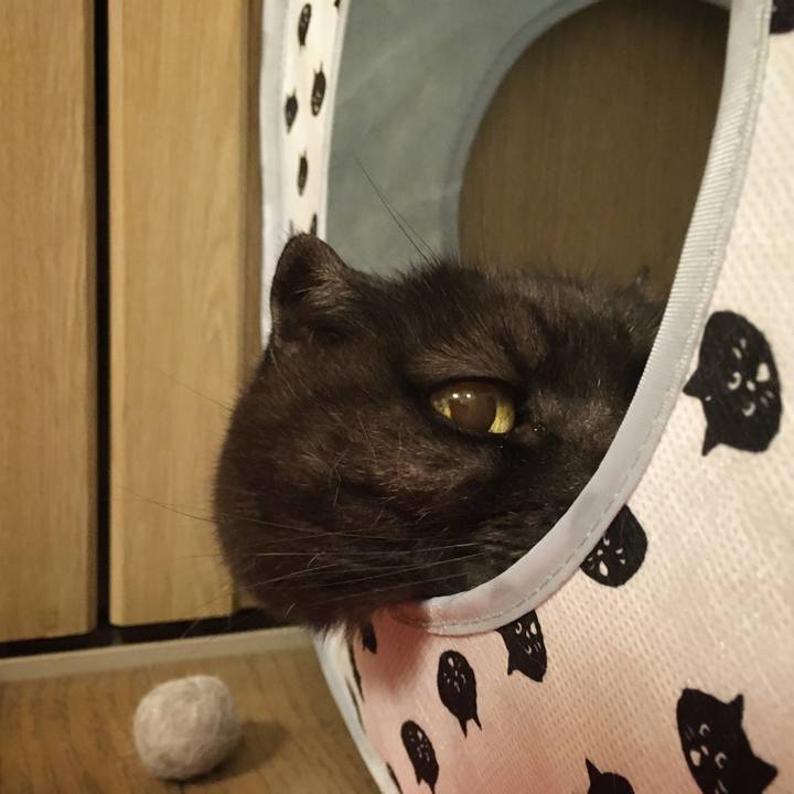 81147012 e612 4568 9011 b9e642b22cbb 1588526736031