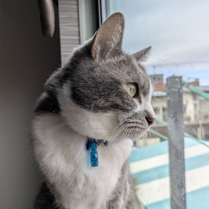 81147f39 7d67 41c8 a246 abd98d21e50c 1772763129862