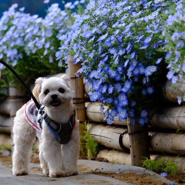 811495dd 81c0 4aa7 8779 1d092e931aeb 1649456482006