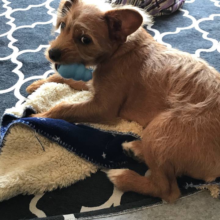 81149c74 528e 4389 921c 42343eaedc2d 1524291019281