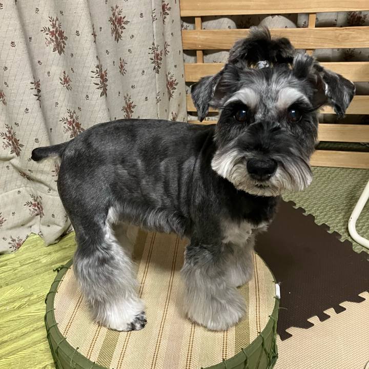 8114ba29 a40d 443b 8750 b800ba70c8fa 1742132838858