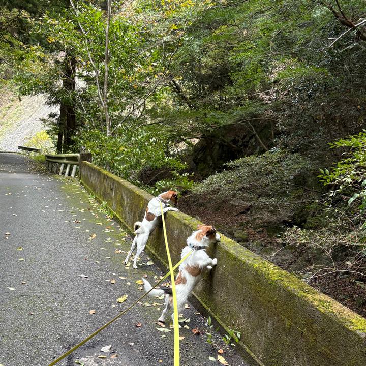 8114cba2 d860 4c43 b840 087c7b91265b 1762179424522