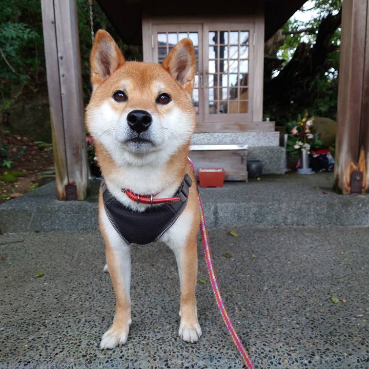 8114dd35 dec8 4ed2 8e4e df2a89bebd43 1761972841735