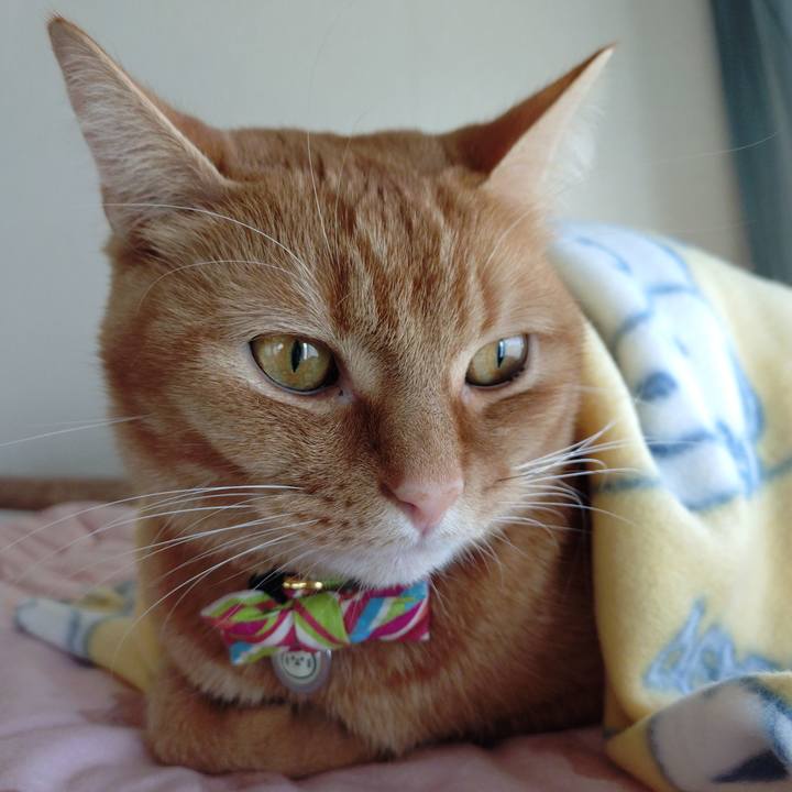 8114e2dc fb22 499e bbb1 aa726a67fedf 1764323320604