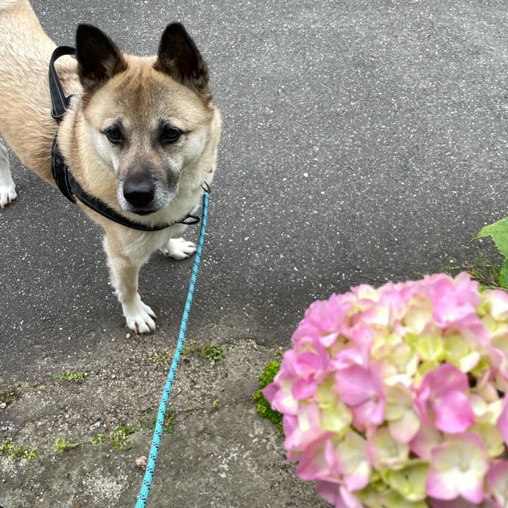 8115274f d363 46f4 89a1 0ca3e6bd3b77 1717675443923