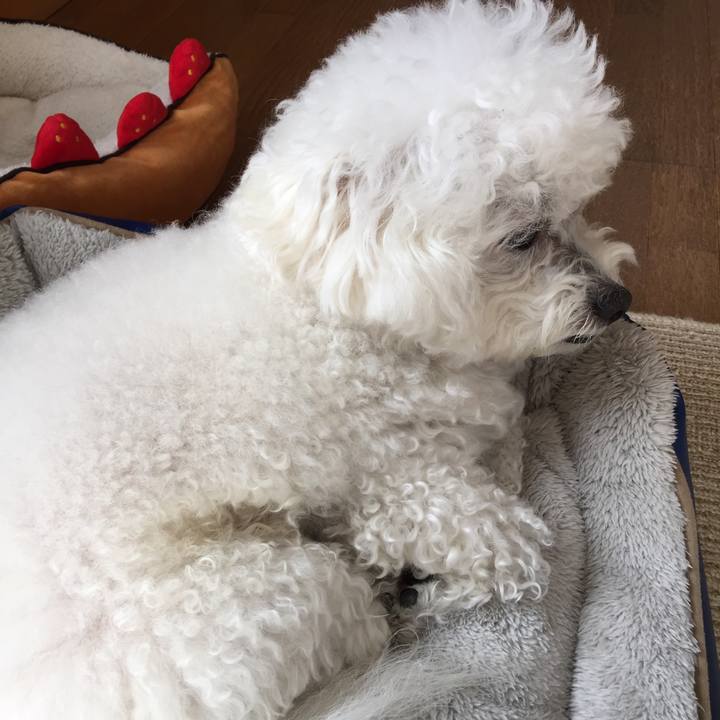 811539d6 ac75 4dfe a51c 73127cf168c7 1548553765668