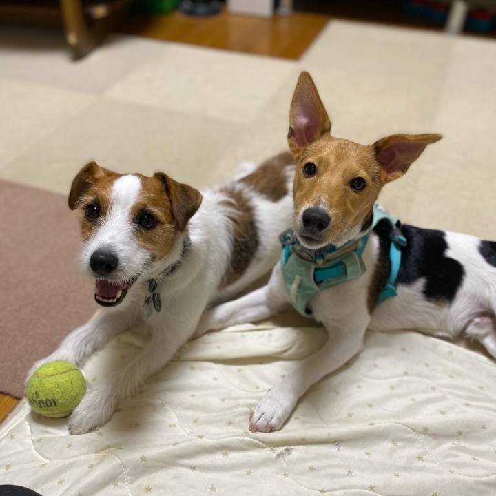 81153c4e 6056 49c9 8cf6 fd423b631b10 1753883733015