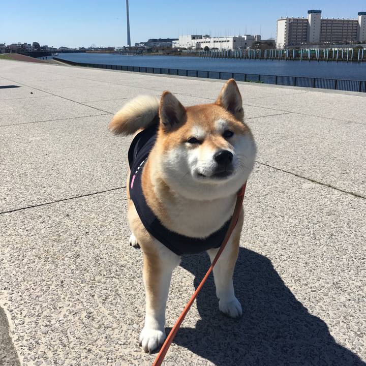 81156891 98c8 48dc 9df5 2065d7bf0d5d 1553401057783