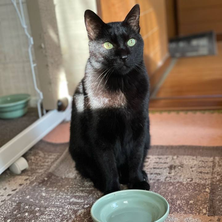 811570d0 15fb 4a11 8b10 1c6ee3c5e7d8 1637286510137