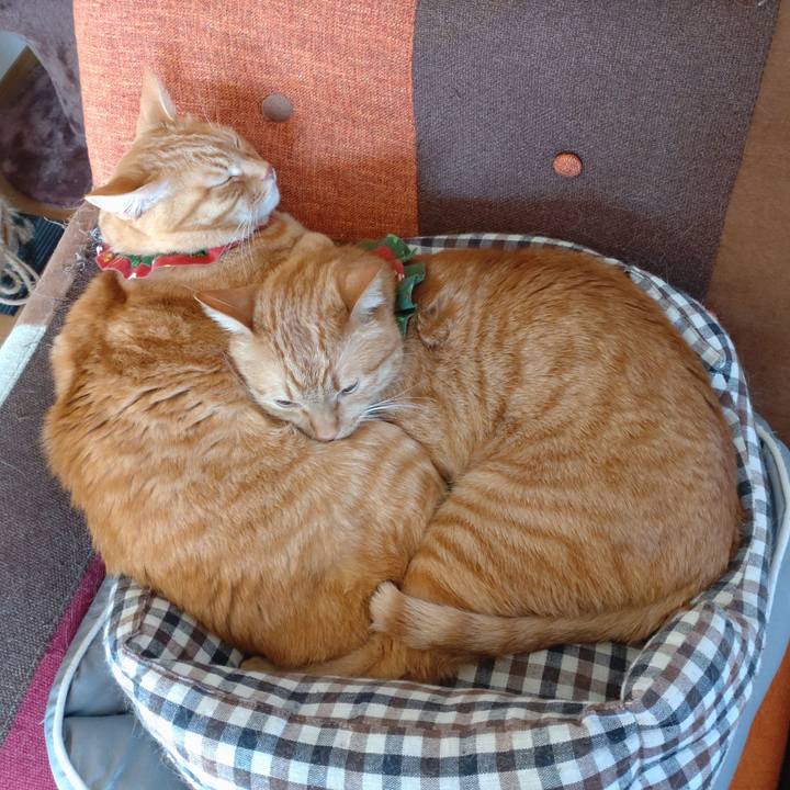 81159a4d 4cc2 4f55 8a61 36e0a1dd45aa 1643338949855