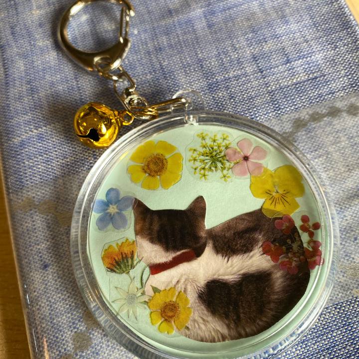 8115bb01 3c3e 4114 aef5 39a04bb59f84 1709104529014