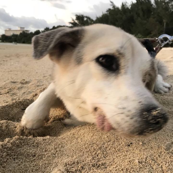 8115ff00 663b 448d 9786 5fc819943772 1532244560029