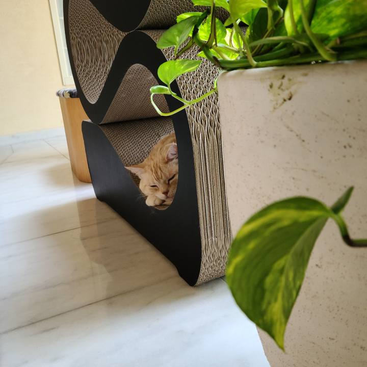 81162610 9634 48e1 b7b8 a6e2db55e6c9 1625471753184