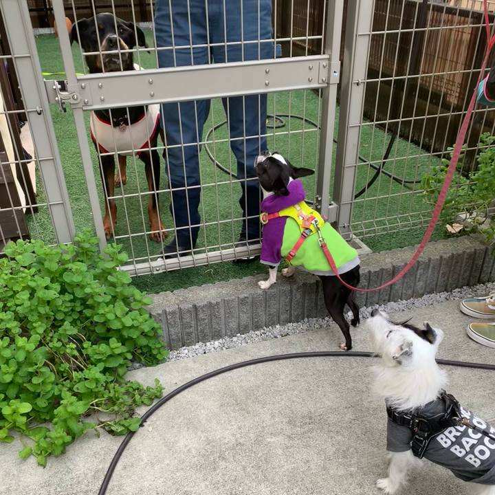 81162d60 3717 4622 9b08 a051ce4dbfc9 1731021565626