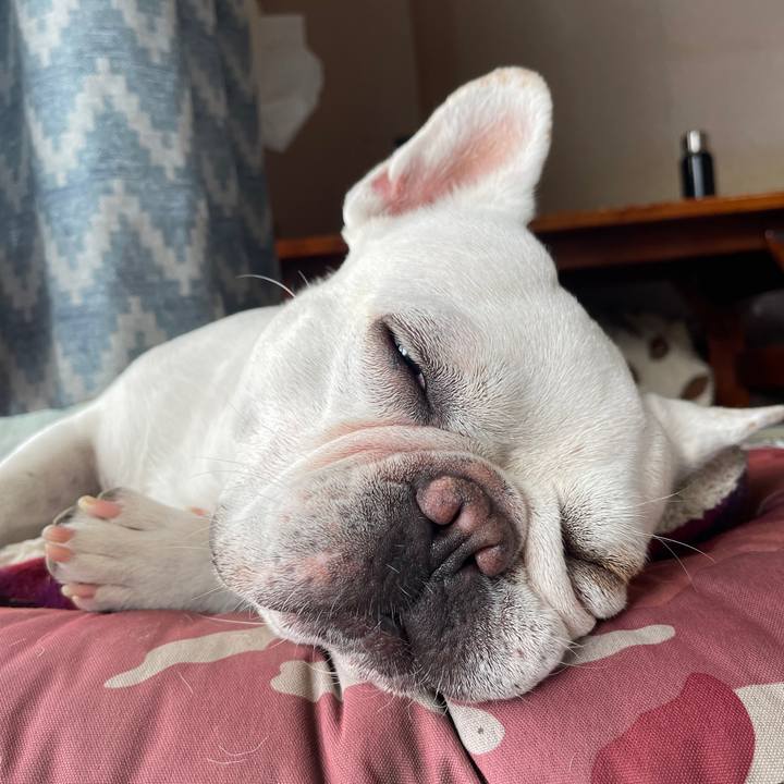 81166839 232e 4de9 8640 39f005eaa892 1757804174363