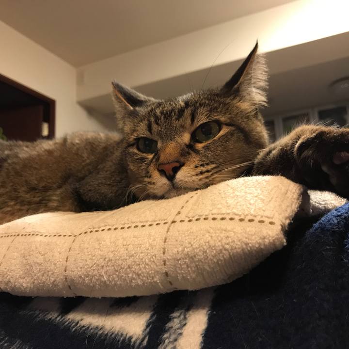 8116776e 7654 4223 a8ca 5d01a1182ca7 1525709757988