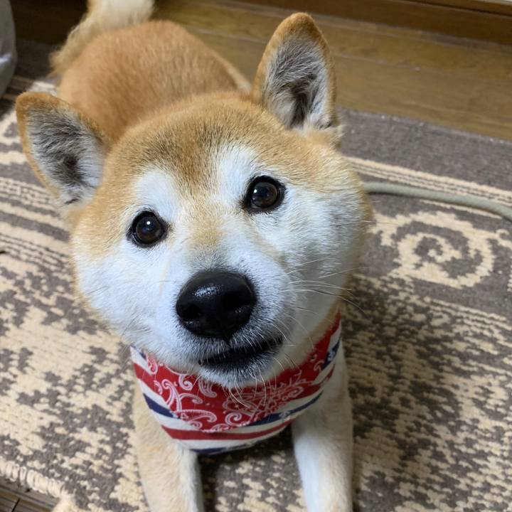 81168128 8e13 416d 9f7a 1317b9427300 1585294823623