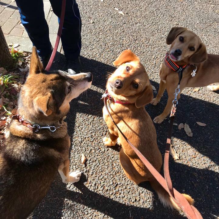 811694b5 70db 47dc 9b3a 23bbc9b58866 1515683832578