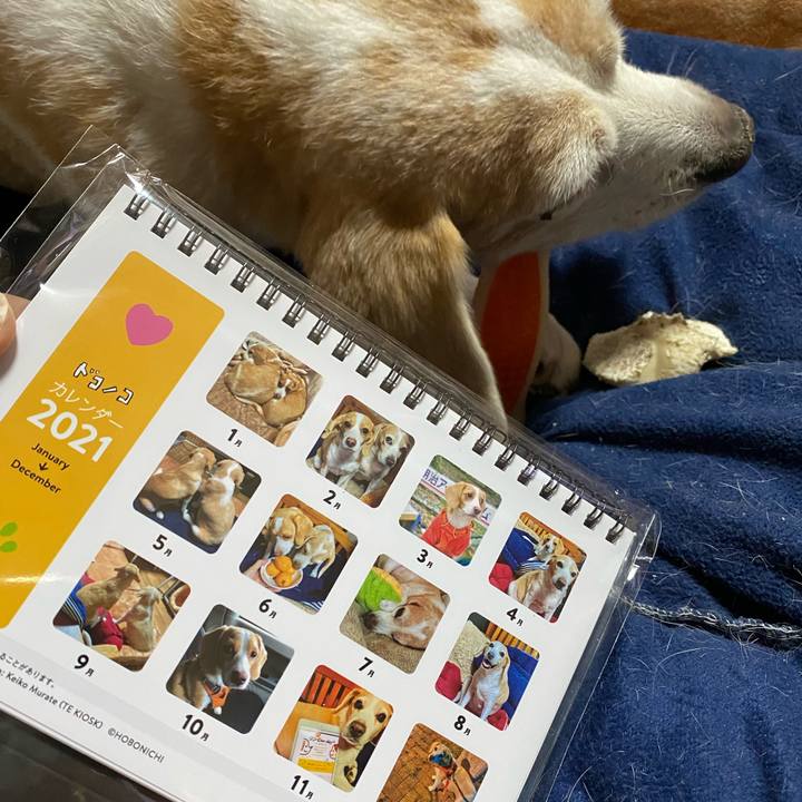 81170f89 96b0 4391 84f8 113e3c72e083 1607767797083