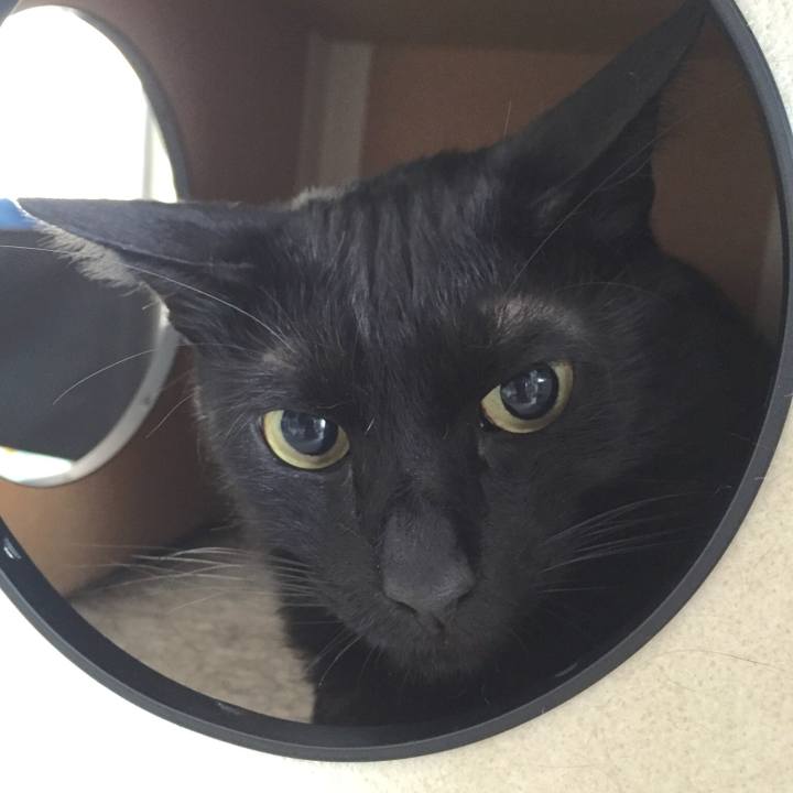 811711b3 445d 4811 a2f7 a73af09aa5cf 1528207828203