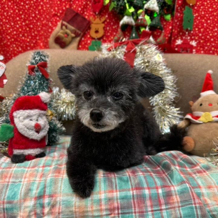 811887e9 d355 4b79 aa48 096e557af303 1732438568971