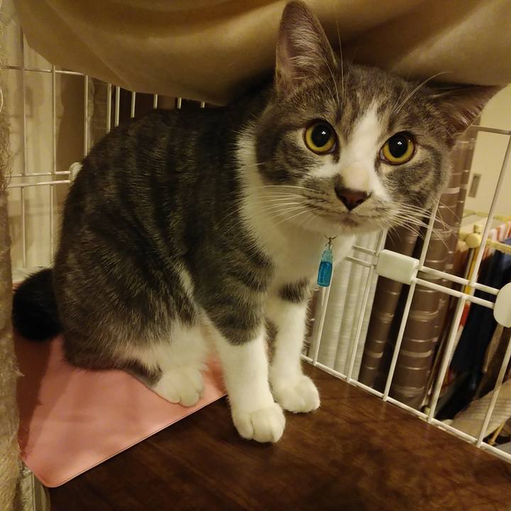 811894ce 4329 4935 adf1 6048ee6abe8b 1576165608265