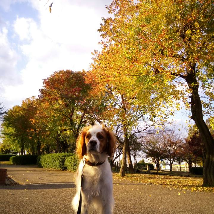 811899e9 fc86 488f 8b97 93ce704f78c1 1510831257202