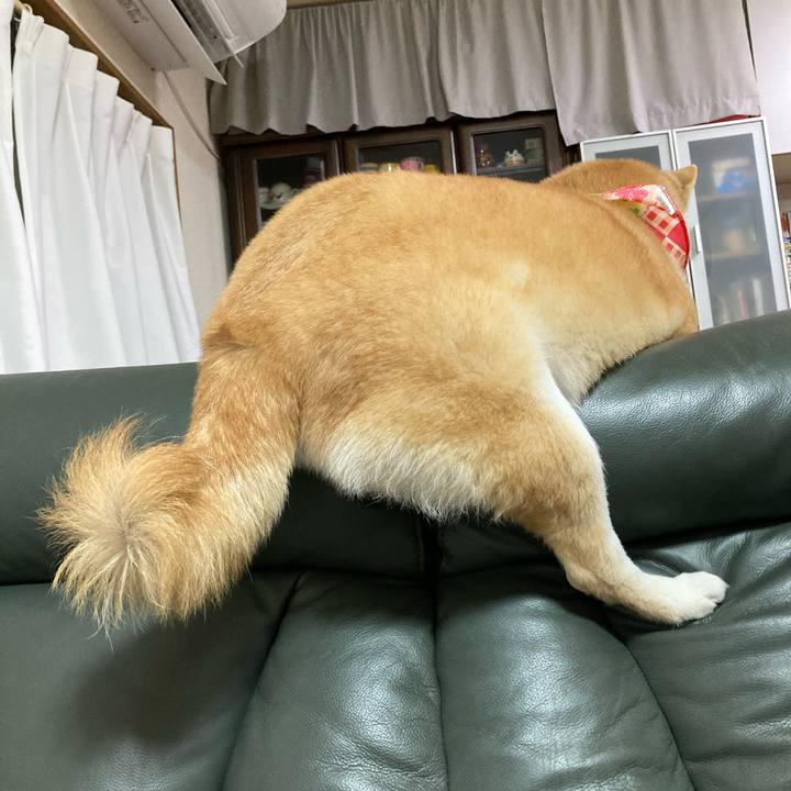 8118a34c 32e0 4f5d 9bef ce3e87ede75f 1616671827517