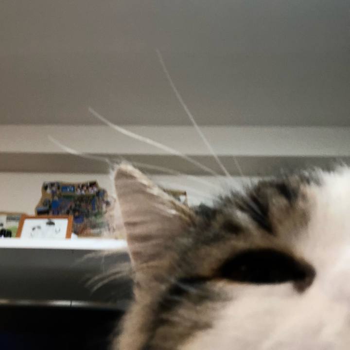 8118afa5 f917 455b 9311 c929ef68adff 1551364860640