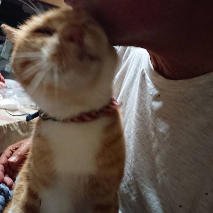 8118c185 1948 499f 8a3f 34e2afa12850 1599730854858