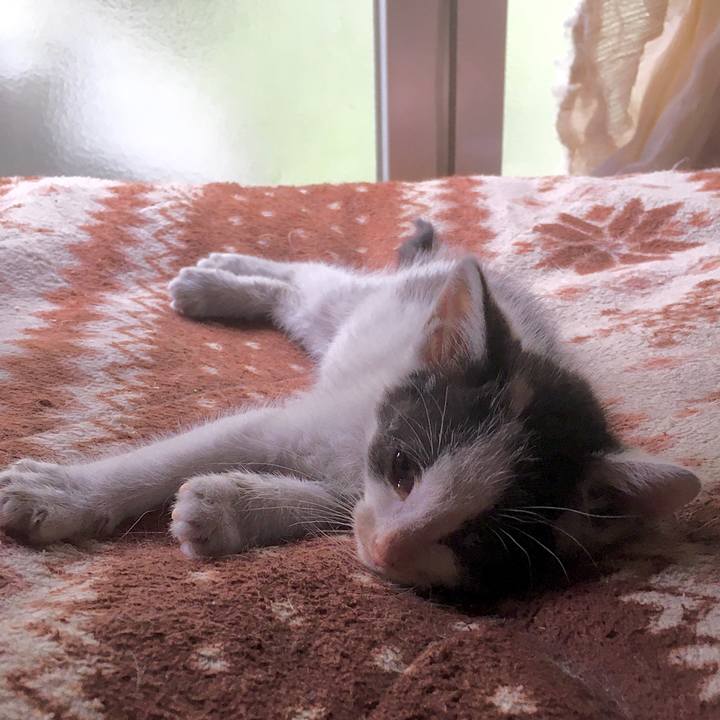 811919a0 ca59 4446 96fd 67ede0ee9ab5 1623827876966