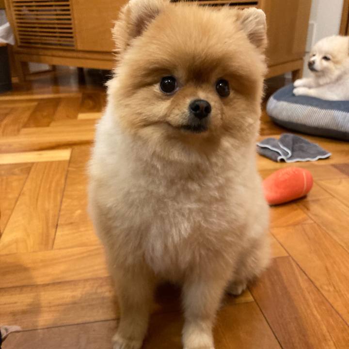 81191f57 7e43 4c24 8be7 999db3d74490 1708400581712