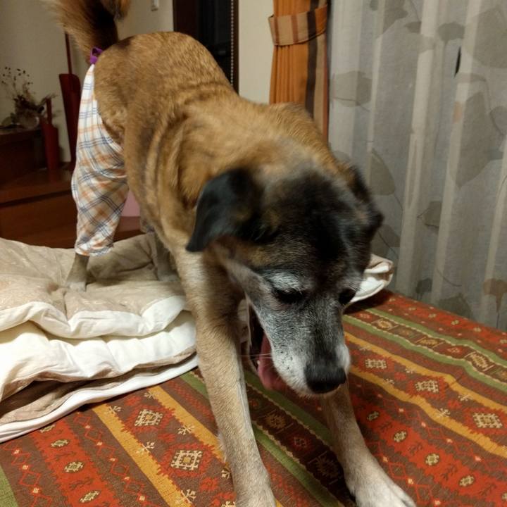 81192846 6052 477e b472 75086a9abcae 1516007993276