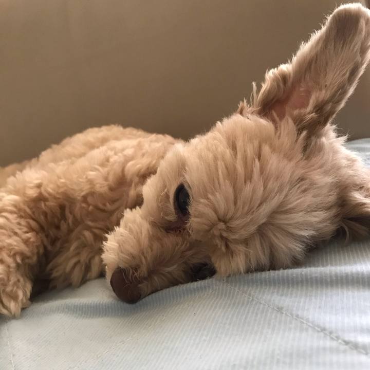 81194317 9c8b 4f25 a71d 31cebe26b49f 1565262258840