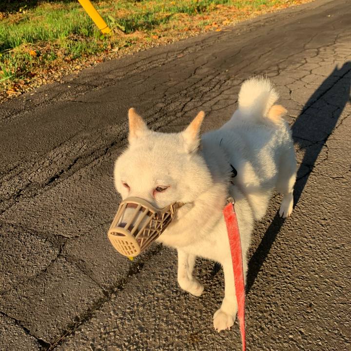 81195b0e fbf8 4ba1 80ee d804912be1cc 1603752801360