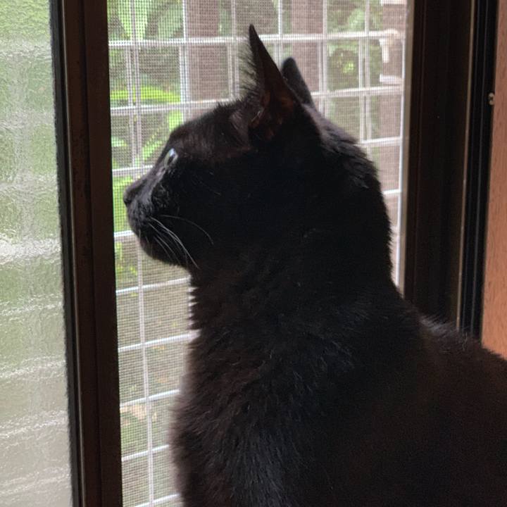 81196a77 8fc6 42e2 ba26 d155c857df61 1564793187575