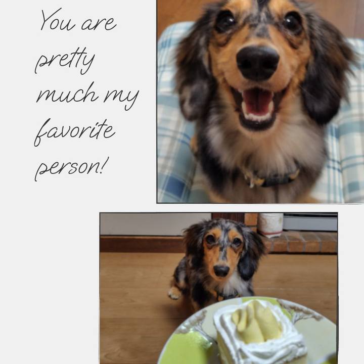 811975bf f48c 4d12 a0e7 e49d71c2f196 1727055170782