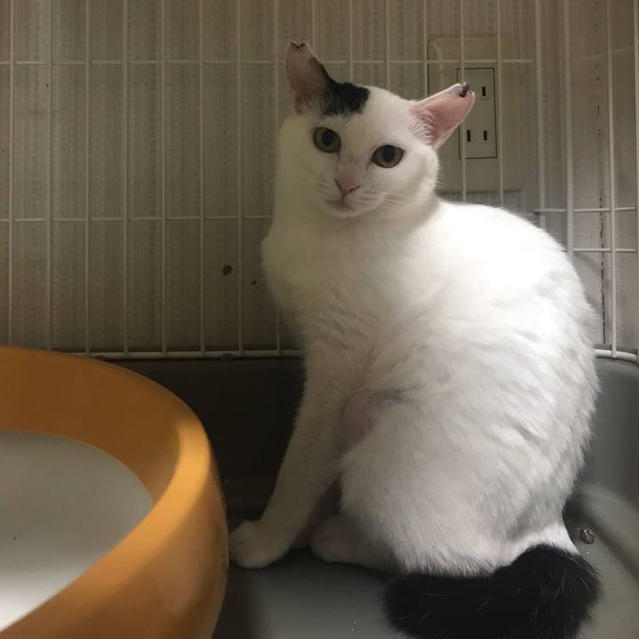 81197754 19bc 4a75 a3a4 5bc3dce88d9a 1549284743785