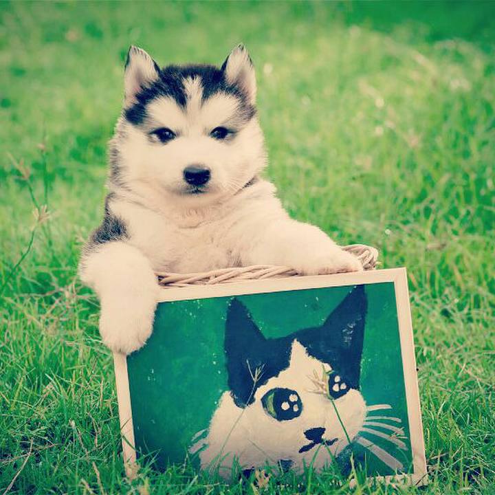 811a3a97 b873 48c3 92a6 d3c50a4db540 1518824957516