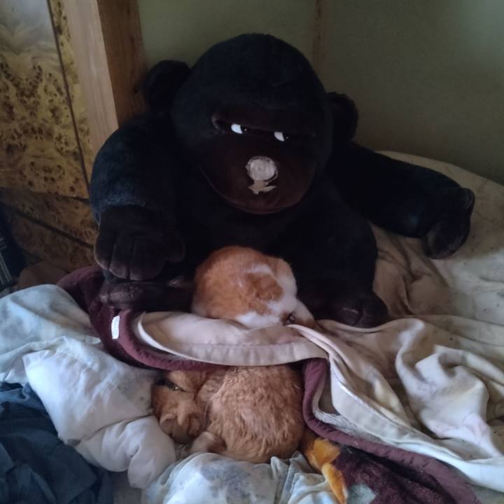 811a644e 9d44 485f 8efa e4e9f05d1036 1765585460764