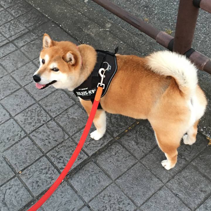 811a6e23 5b9c 461d a367 b1372de3cc5e 1591784511031