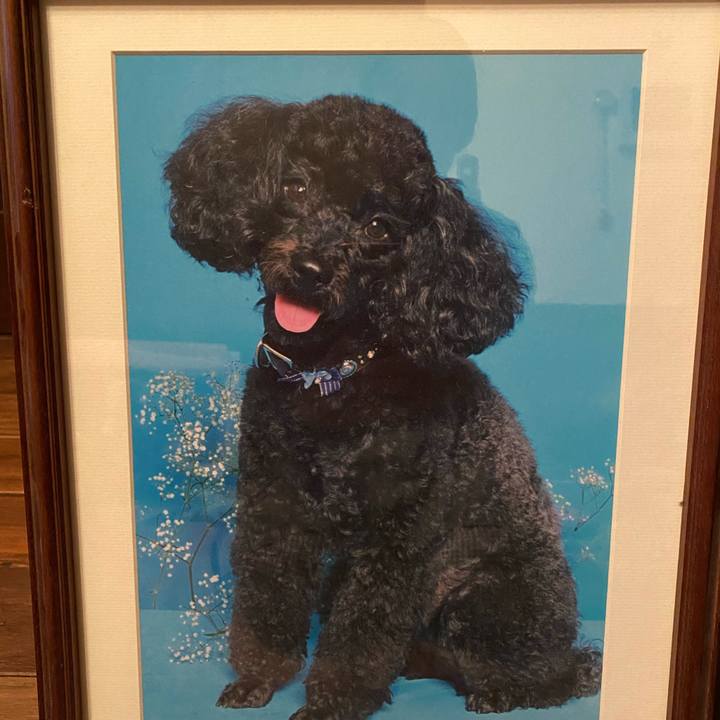 811aad43 6550 4779 91ef c9704a063de7 1615627317069