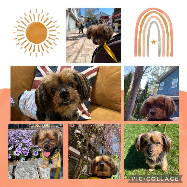 811aad4d 3715 46cb 94dd 6b9a4dd95f4f 1714794591486