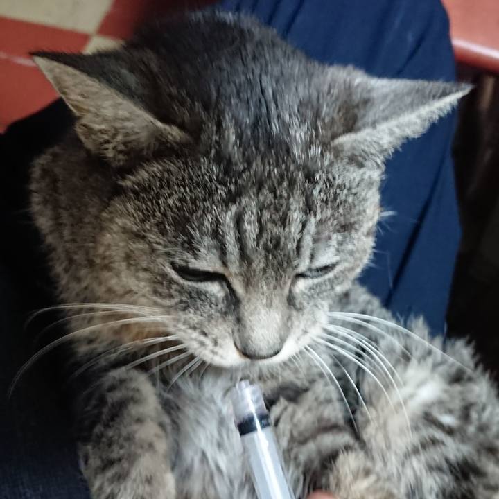 811ab203 1a5b 457b 9e78 626b4551b664 1578520309851