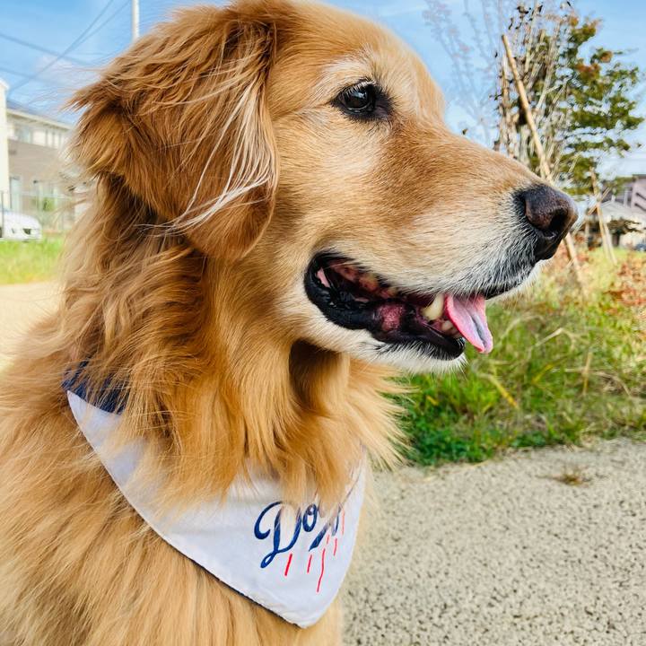 811aeb87 0eb9 4ef8 a947 021e0b981b6d 1730078118078